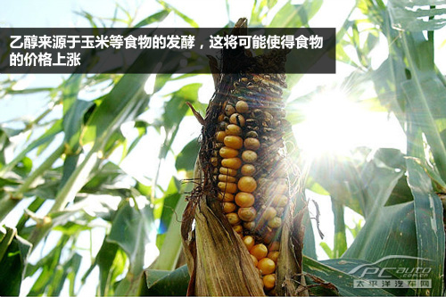 美国议会可能修改或废除07年乙醇混动令 美国议会可能修改或废除07年乙醇混动令