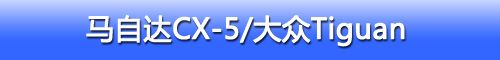 13款SUV车型25%偏置碰撞结果 13款SUV车型25%偏置碰撞结果